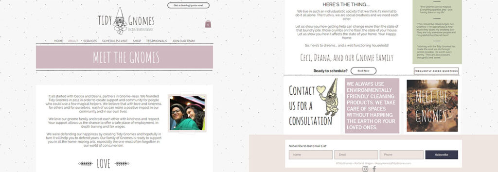 Tidy Gnomes Cleaning Bespoke Web Design