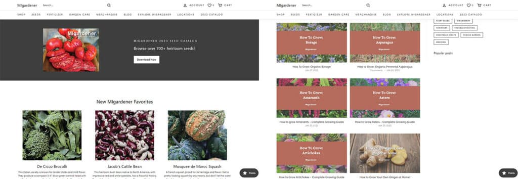 Migardener custom web developers